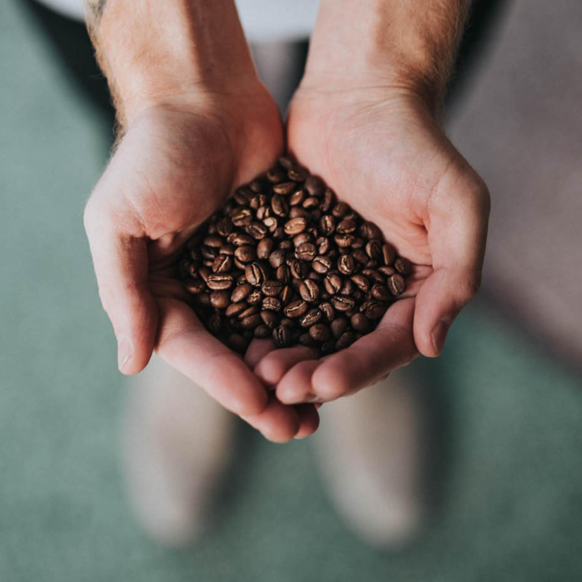 Premium Guatemalan Dark Roast Whole Bean Coffee - 5lb Bag (Pack of 1) | Rich & Bold Flavor for Espresso, French Press & Drip Coffee Makers | Specialty Grade Arabica Beans