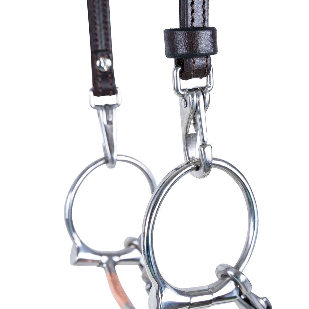 Victor Supreme Stainless Steel Arabian Horse Training Bridle – Dark Color | Quick-Change Adjustable Design | Premium Leather with Stainless Steel Hardware | Perfect for Dressage, Trail Riding & Training Sessions