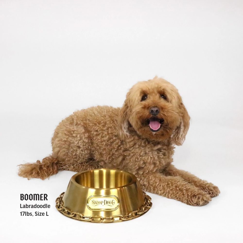 Premium Gold Pet Bowl for Dogs & Cats - Non-Slip Stainless Steel Pet Food & Water Dish - Elegant Raised Feeder for Small & Large Pets - Perfect for Home, Travel & Outdoor Use