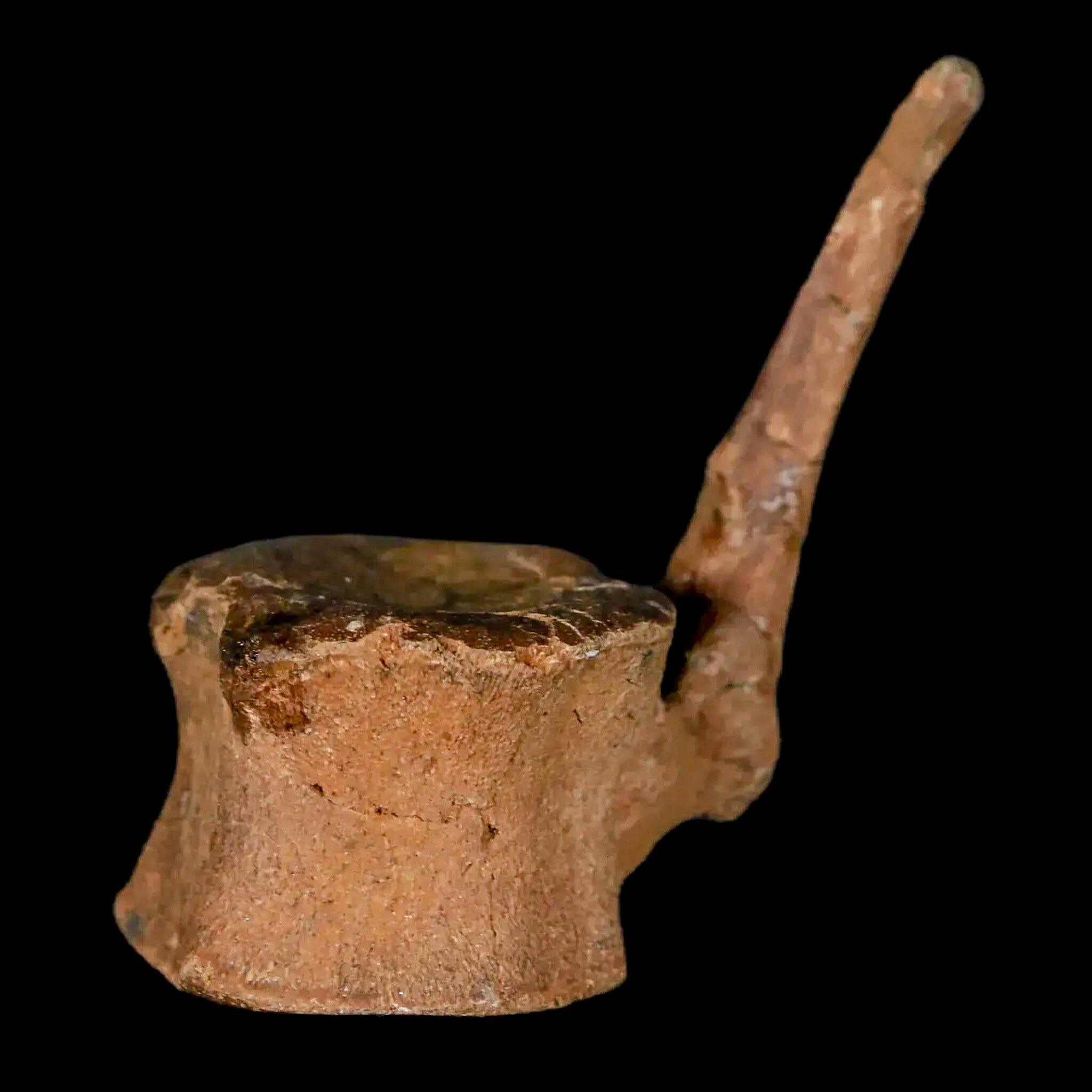 Authentic Brachylophosaurus Dinosaur Tail Vertebrae Fossil - Cretaceous Period Judith River Formation with COA - Perfect for Paleontology Collectors & Educational Displays