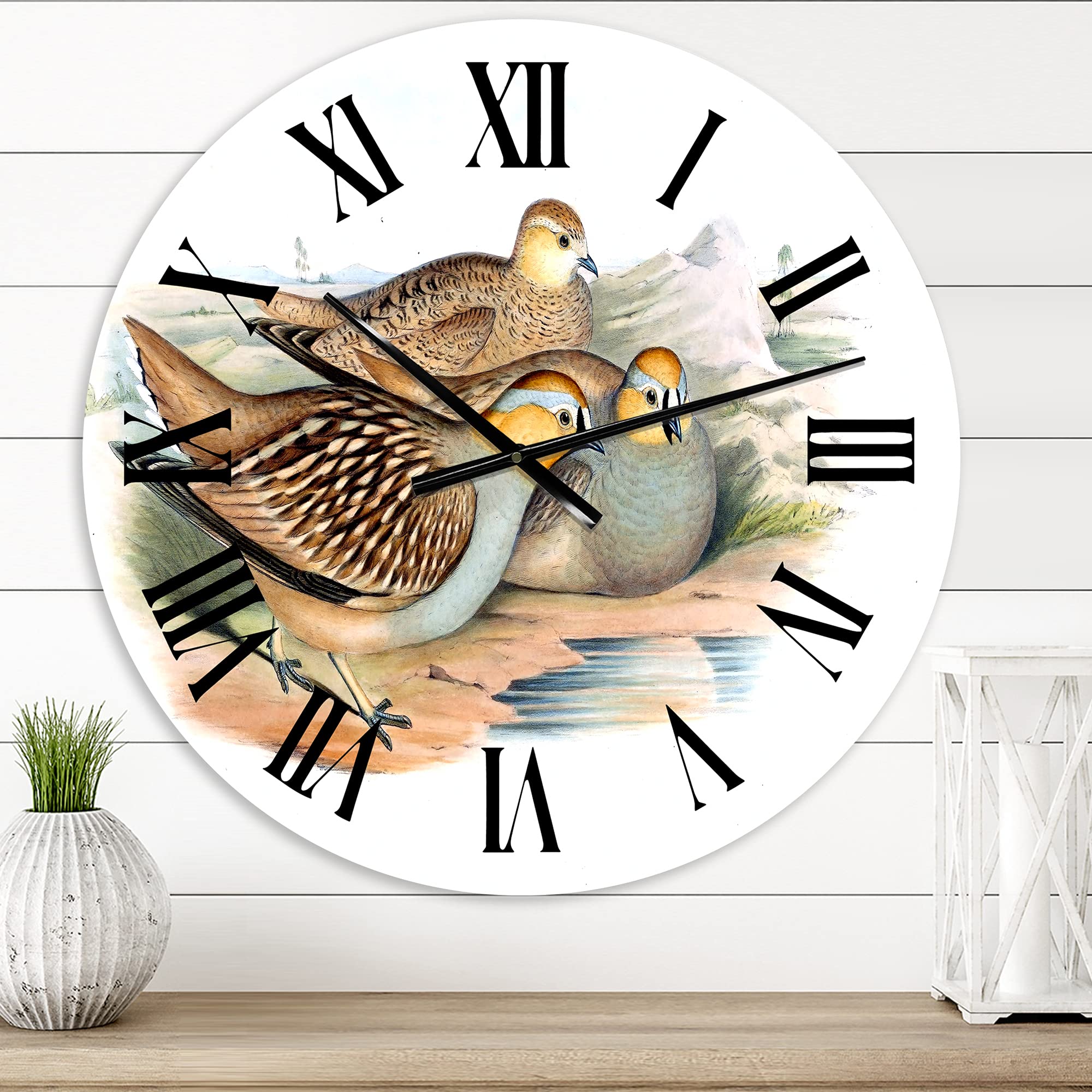 Vintage Birds in The Wild III - Large Traditional Wall Clock with Animal Design for Bedroom, Living Room & Office Decor | Silent Non-Ticking Battery Operated Clock for Home & Office Use