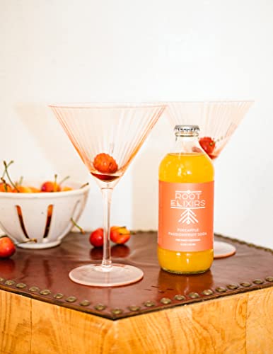 Pineapple Passionfruit Sparkling Mixer - 6 Root Elixirs 12oz Can | Refreshing Tropical Drink for Cocktails, Mocktails & Healthy Hydration | Perfect for Parties, BBQs & Summer Refreshment