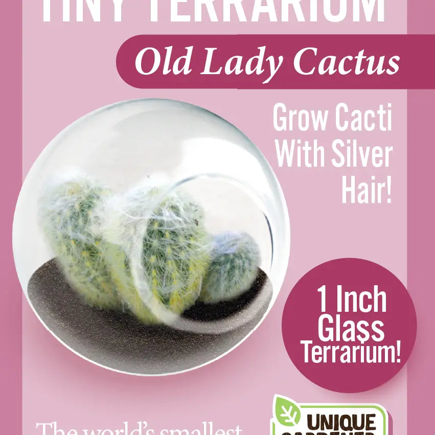 Mini Cactus Terrarium Kit with 6 Unique Succulent Varieties - Perfect for Home Decor, Office Desk, and Gift Ideas