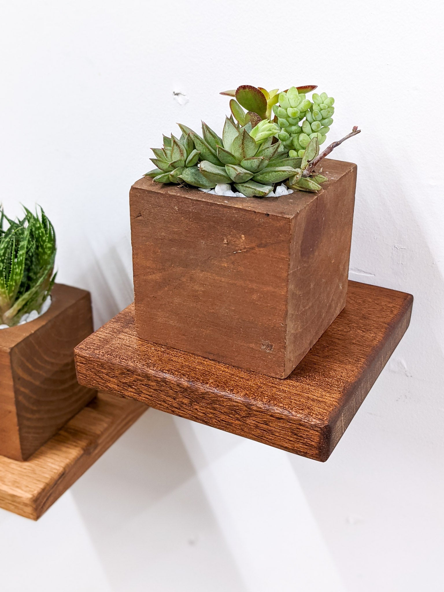 Oak Small Square Display Shelf - Perfect for Home Decor, Retail Stores, and Office Organization