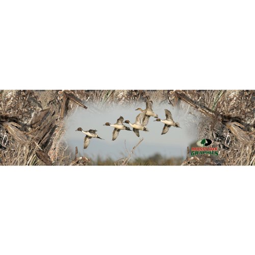 Pintail Flock