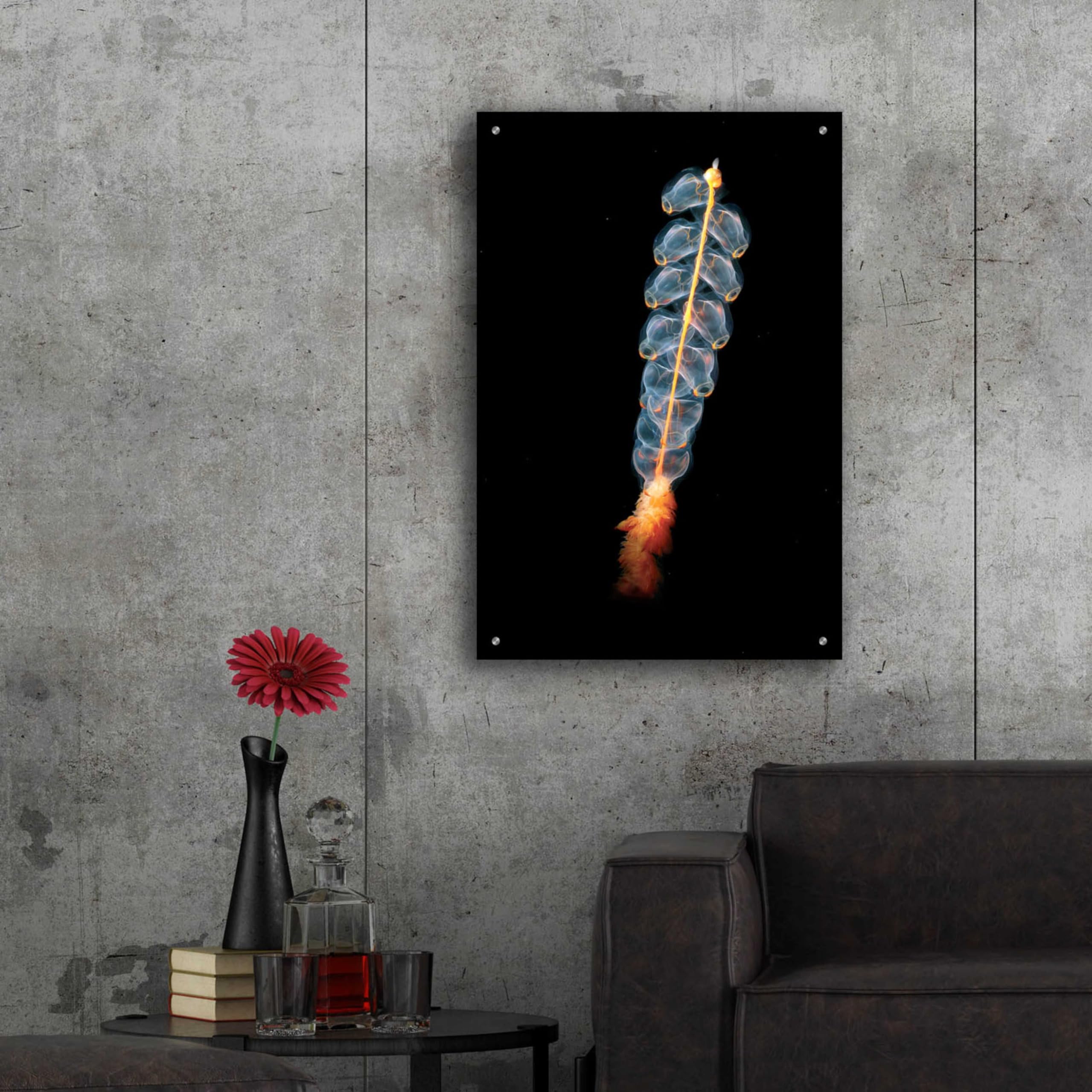 Epic Art 'Deep Sea Rocket' Acrylic Glass Wall Art - 24x36 Inches Modern Ocean Themed Painting for Living Room, Bedroom & Office Decor