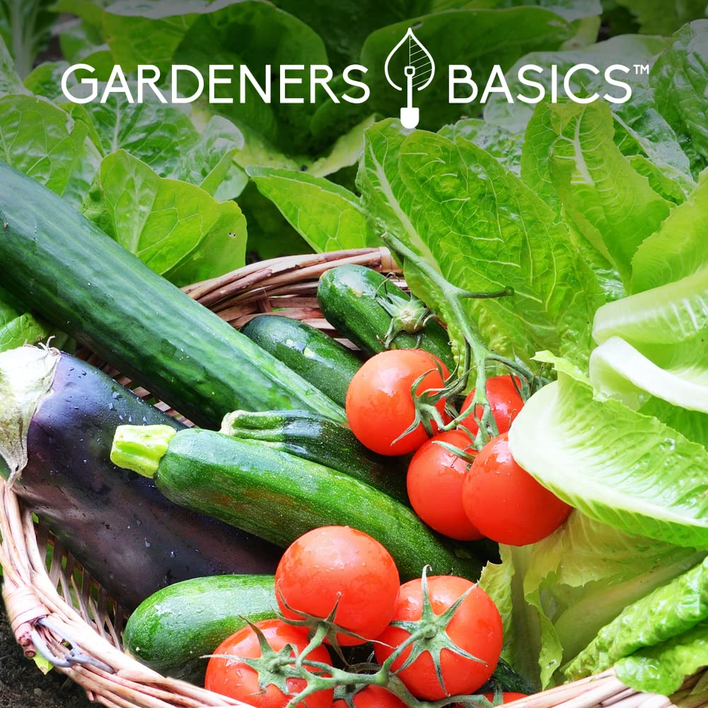 35 Varieties Heirloom Survival Garden Seeds - 17,000+ Non-GMO Vegetable & Fruit Seeds for Planting | Emergency Preparedness, Bugout Bag Supplies & Victory Garden Essentials | Perfect for Home Gardening, Food Security & Outdoor Survival Kits