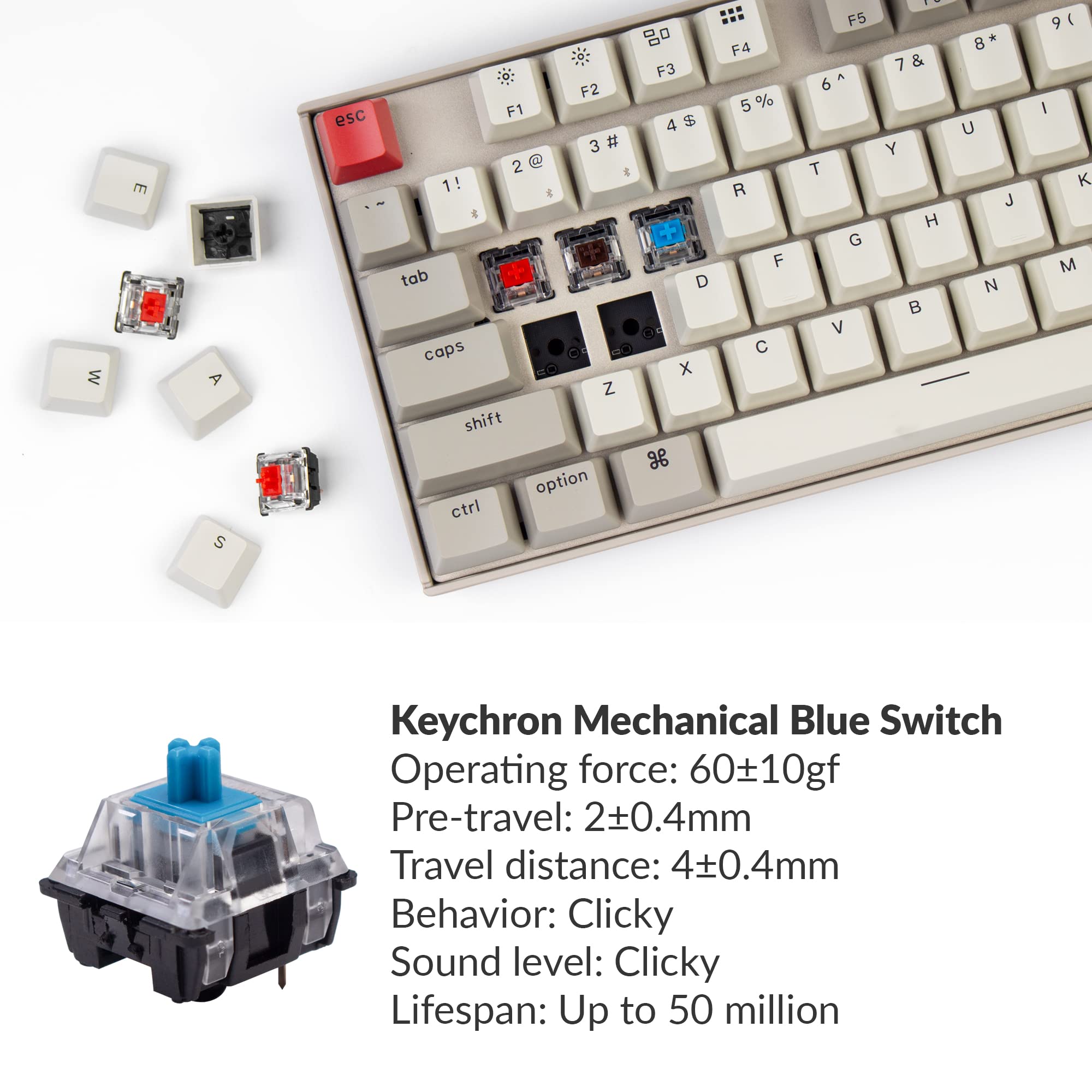 Keychron K8 Wireless Bluetooth Mechanical Gaming Keyboard - Tenkeyless Hot-Swappable 87 Keys for Mac & Windows, USB Wired with Blue Switches | Perfect for Office Work, Gaming & Programming