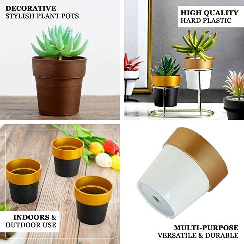3 Packs Mini Plastic Succulent Plant Nursery Pots - 3