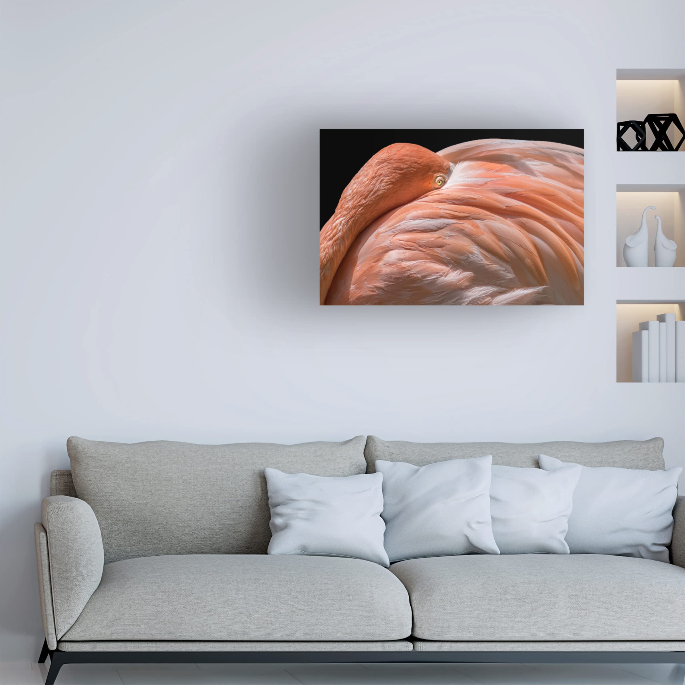 Trademark Fine Art 'Peek' Canvas Art by Els Keurlinckx - Modern Abstract Wall Decor for Living Room, Bedroom & Office