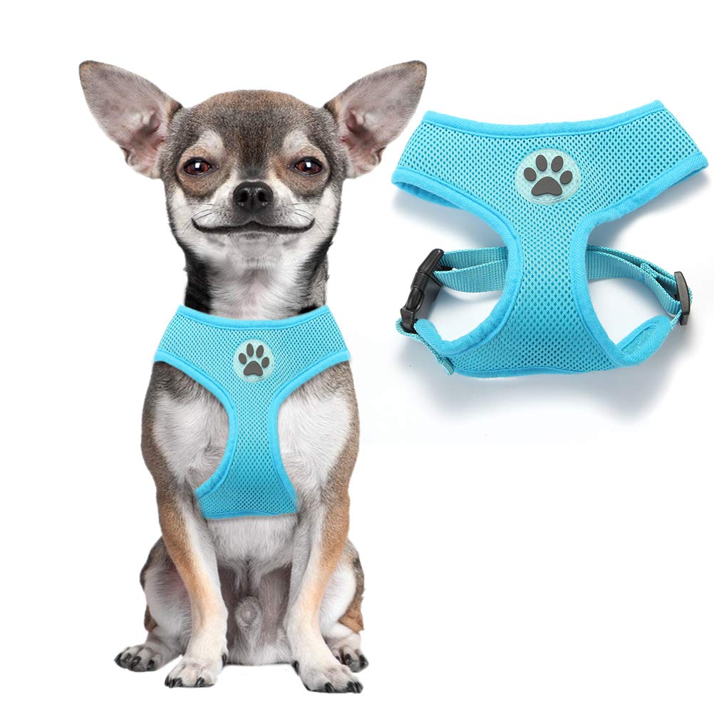 BINGPET Lightweight Breathable Mesh Dog Harness Vest - Adjustable Padded Pet Vest for Small Dogs & Puppies - Perfect for Walking, Running, and Outdoor Adventures