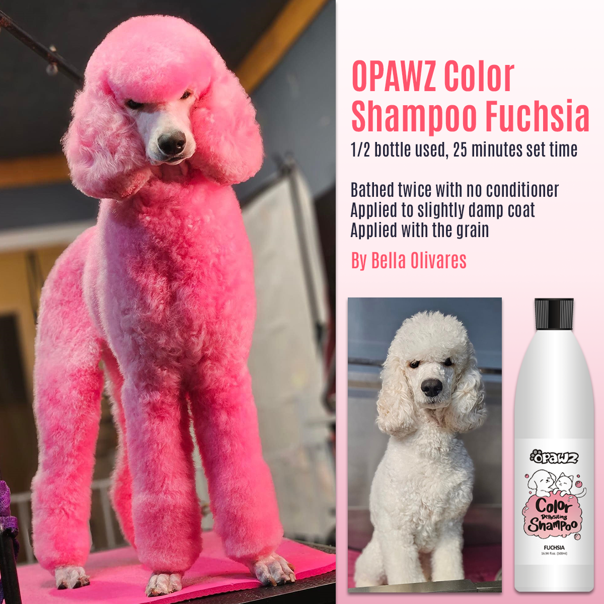 OPAWZ Funky Color Shampoo for Dogs - Fuschia Pink Pet Hair Dye - 500ml (FC08) - Safe & Vibrant Temporary Color for Grooming, Shows & Pet Fashion