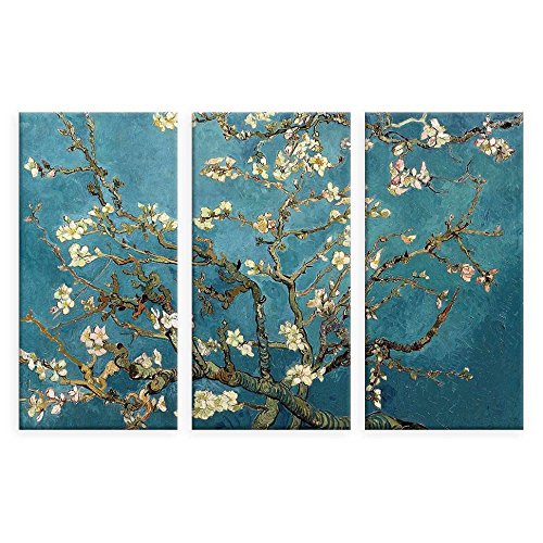 Photo Paper