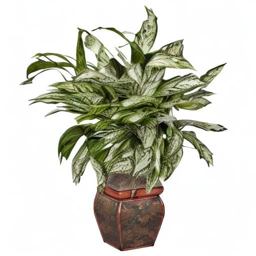 Nearly Natural Silver Queen Artificial Silk Plant in Decorative Planter - Perfect for Home Office Decor, Living Room Centerpiece & Housewarming Gift