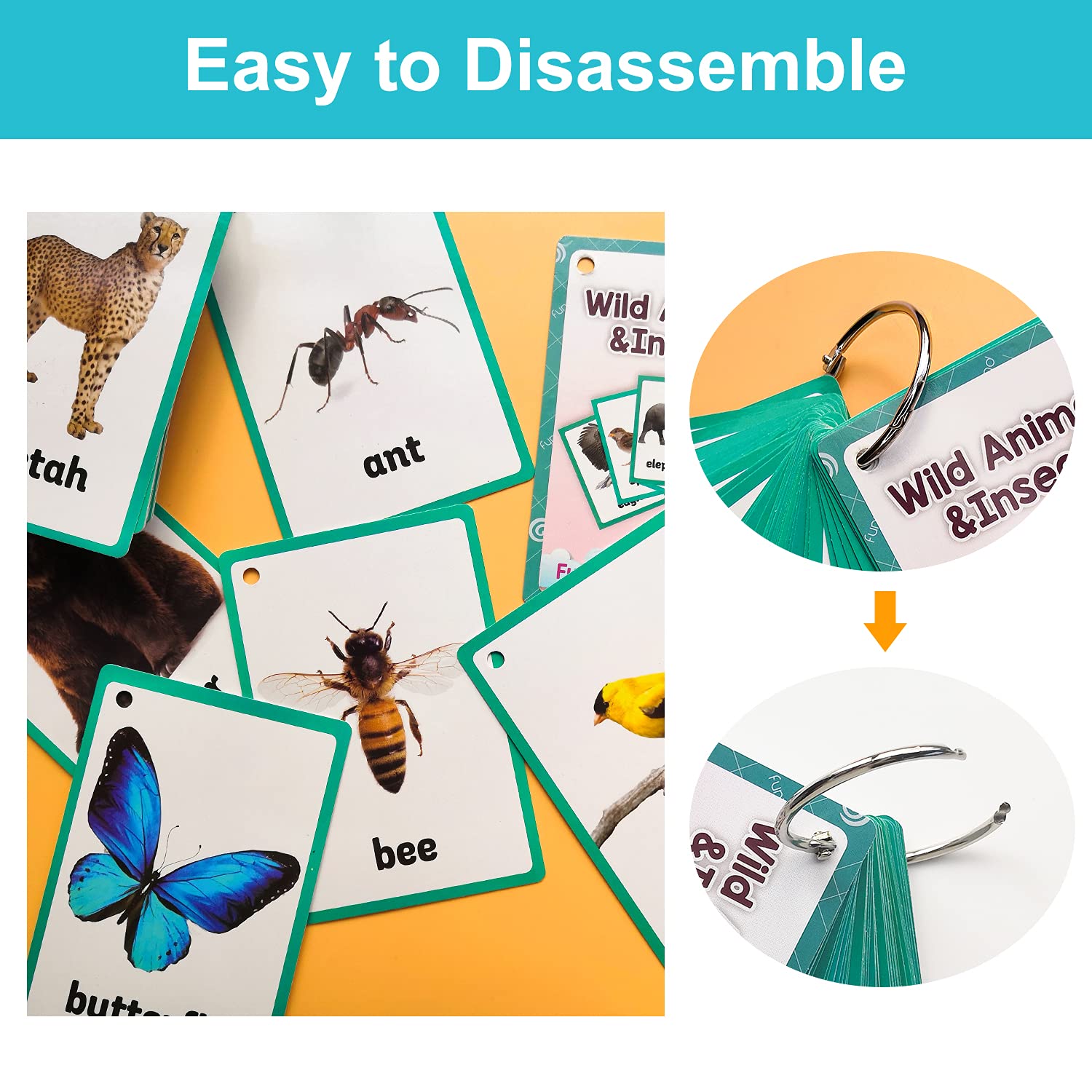 Lilias Wild Animals & Insects Flash Cards - 48-Piece Educational Learning Set for Toddlers & Preschoolers (4.3
