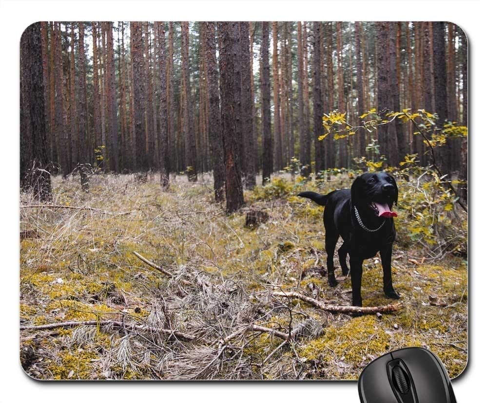 Premium Gaming Mouse Pad - Non-Slip Rubber Base with Labrador Dog Design | Cute Pet-Themed Computer Accessory for Gamers & Office Use