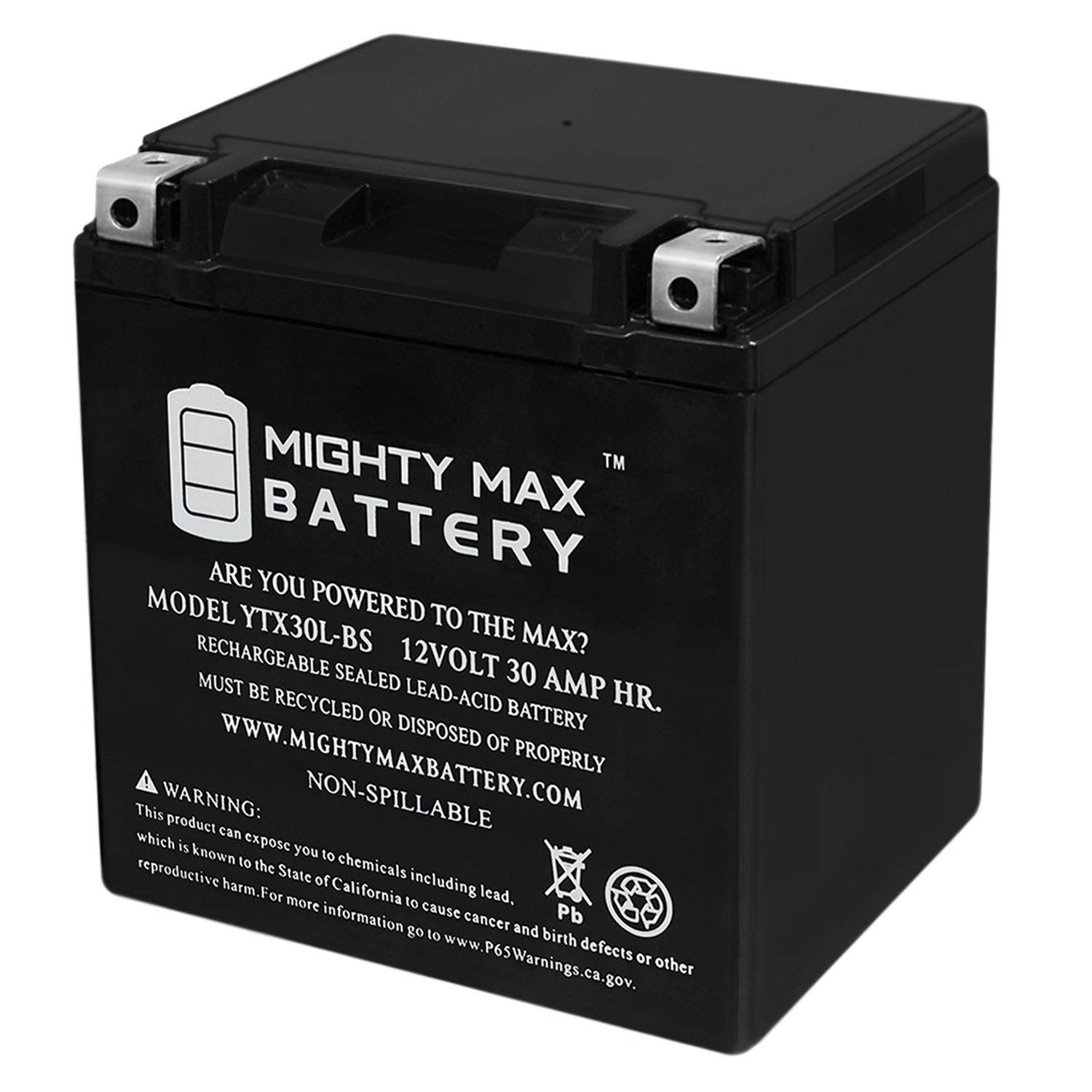 Mighty Max YTX30L-BS 12V 30AH AGM Battery - Replacement for ATV, Snowmobile & Utility Vehicles - Power Sports, Marine & Solar Applications