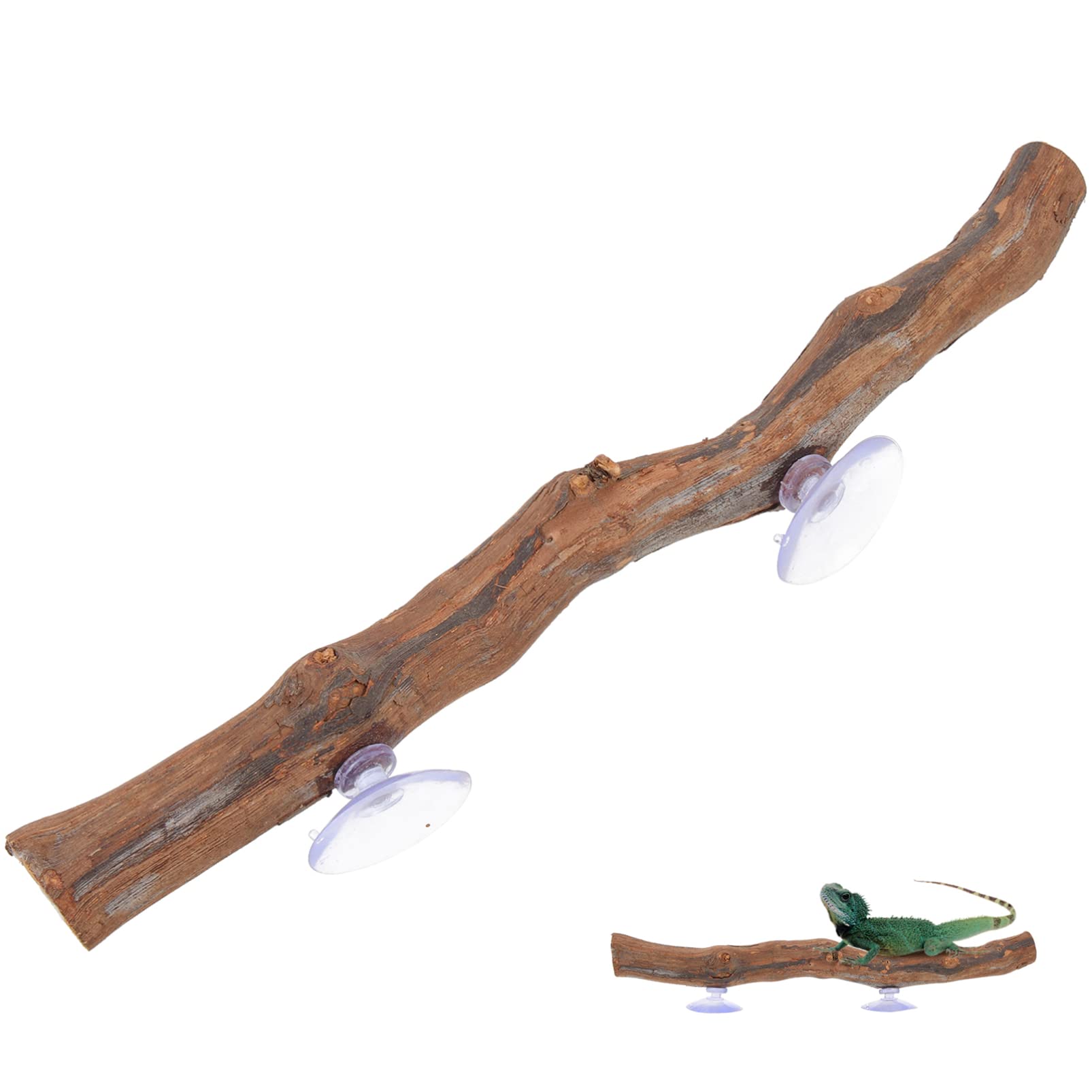 Premium Reptile Climbing Branch - Natural Terrarium Decor with Suction Cups for Lizards, Snakes & Geckos | Perfect for Habitat Enrichment & Vertical Climbing Space in Reptile Tanks