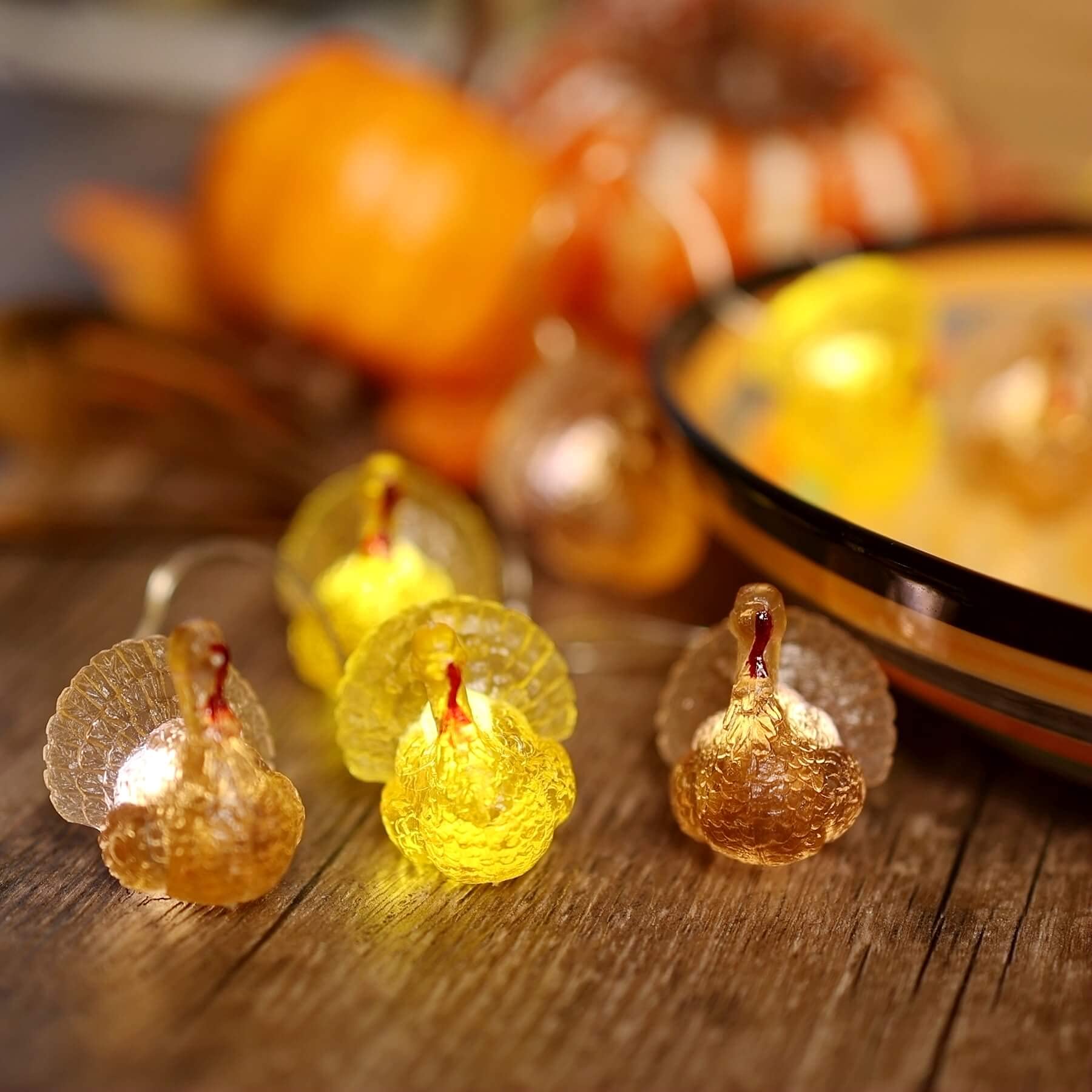 Thanksgiving String Lights - 20 LED USB Powered Fairy Lights with Remote, 8ft Fall Turkey & Forest Decor for Bedroom, Farmhouse, Holiday Decoration | Perfect for Thanksgiving Dinner, Christmas Tree & Cozy Home Ambiance