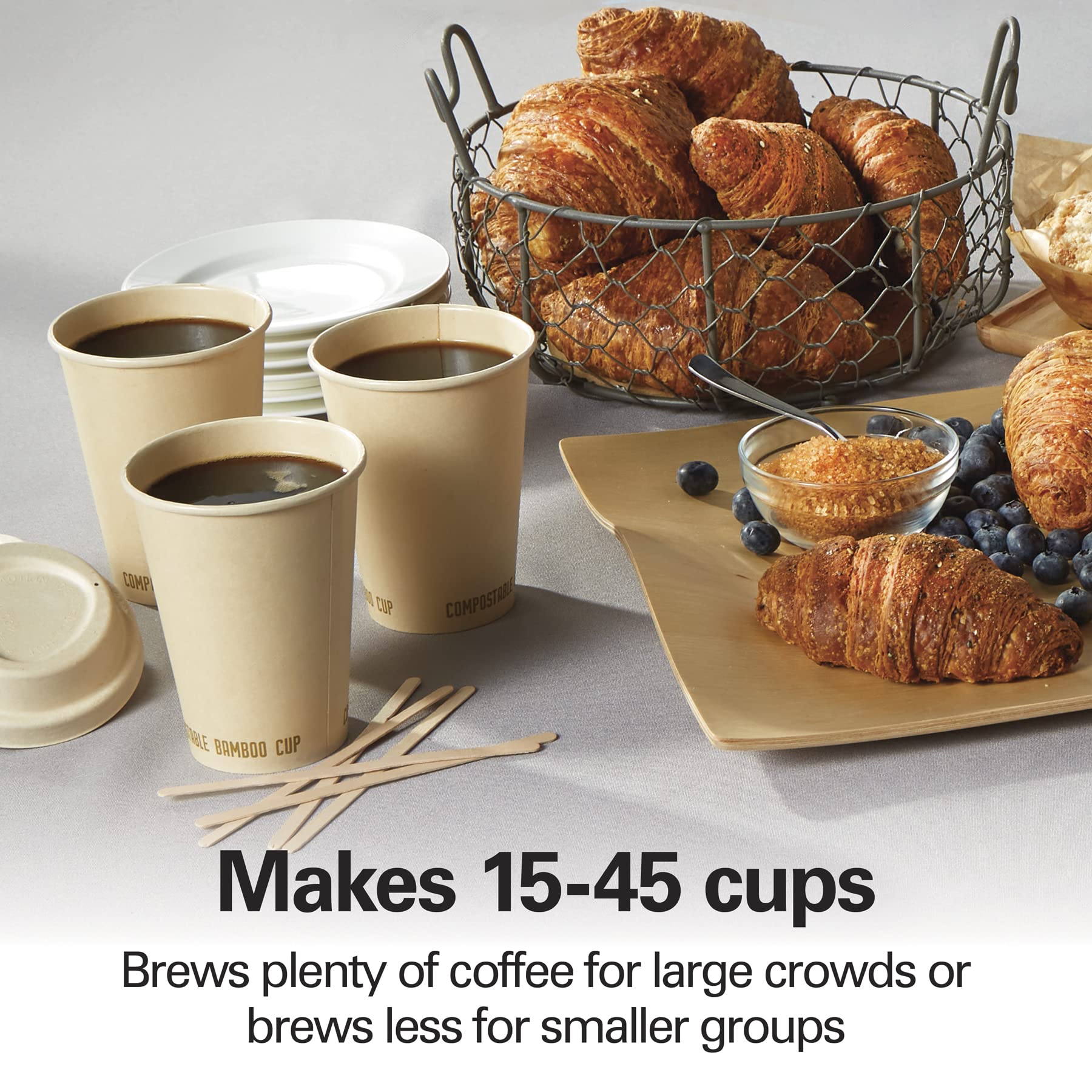 Hamilton Beach 45 Cup Commercial Coffee Urn & Hot Beverage Dispenser - Stainless Steel (40519) for Large Gatherings, Events, Offices & Catering Services