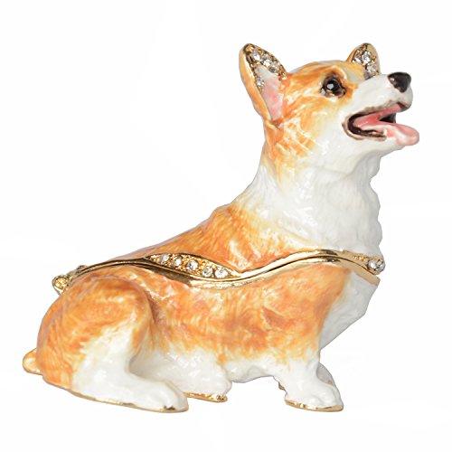 1 Welsh Corgi