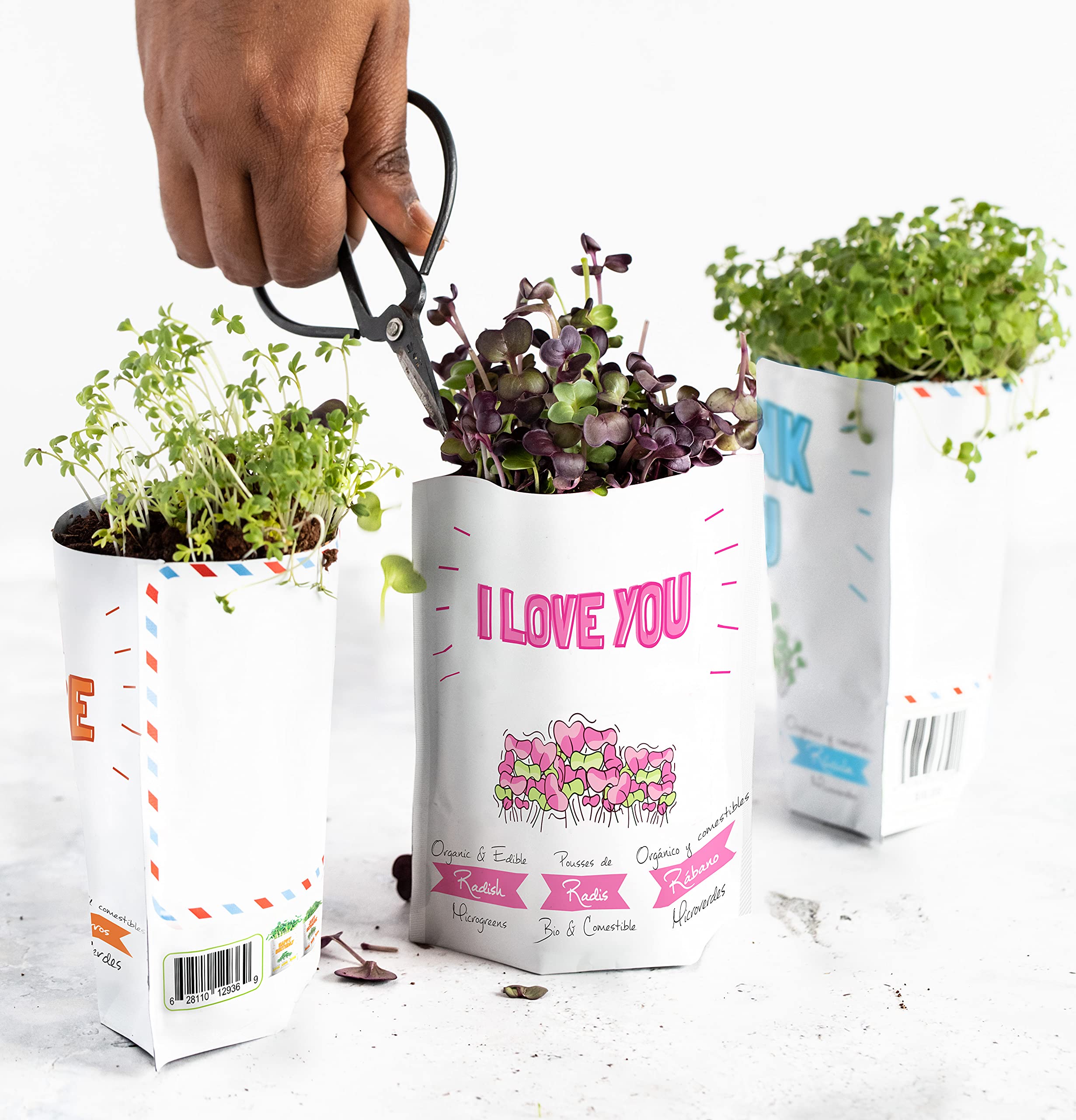 Organic Microgreens Greeting Card – Plantable & Edible Eco-Friendly Gift for All Occasions (1 Pack) | Perfect for Birthdays, Thank You Cards & Sustainable Gifting