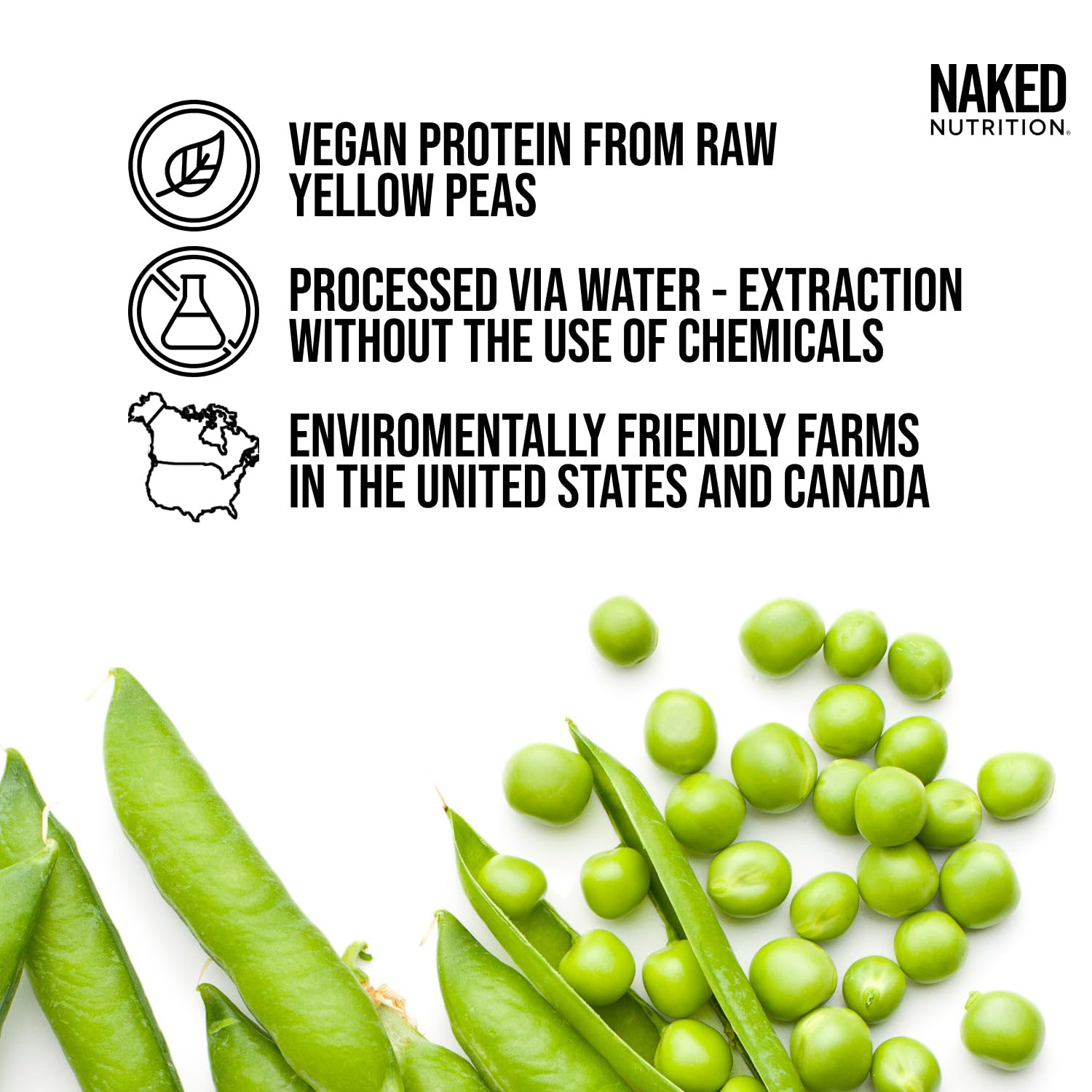 Premium Chocolate Pea Protein Isolate from USA Farms | Vegan, Gluten-Free, Soy-Free, Non-GMO Protein Powder (1LB) | Perfect for Smoothies, Baking & Post-Workout Recovery
