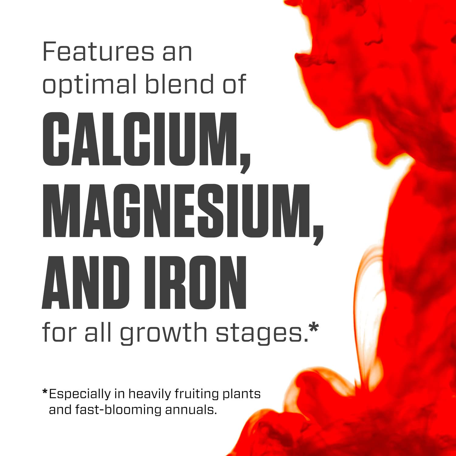 Botanicare Cal-Mag Plus - Calcium, Magnesium & Iron Plant Nutrient Supplement | Corrects Deficiencies | 2-0-0 NPK Formula | Quart Size | Ideal for Hydroponics, Soil & Foliar Spray Applications