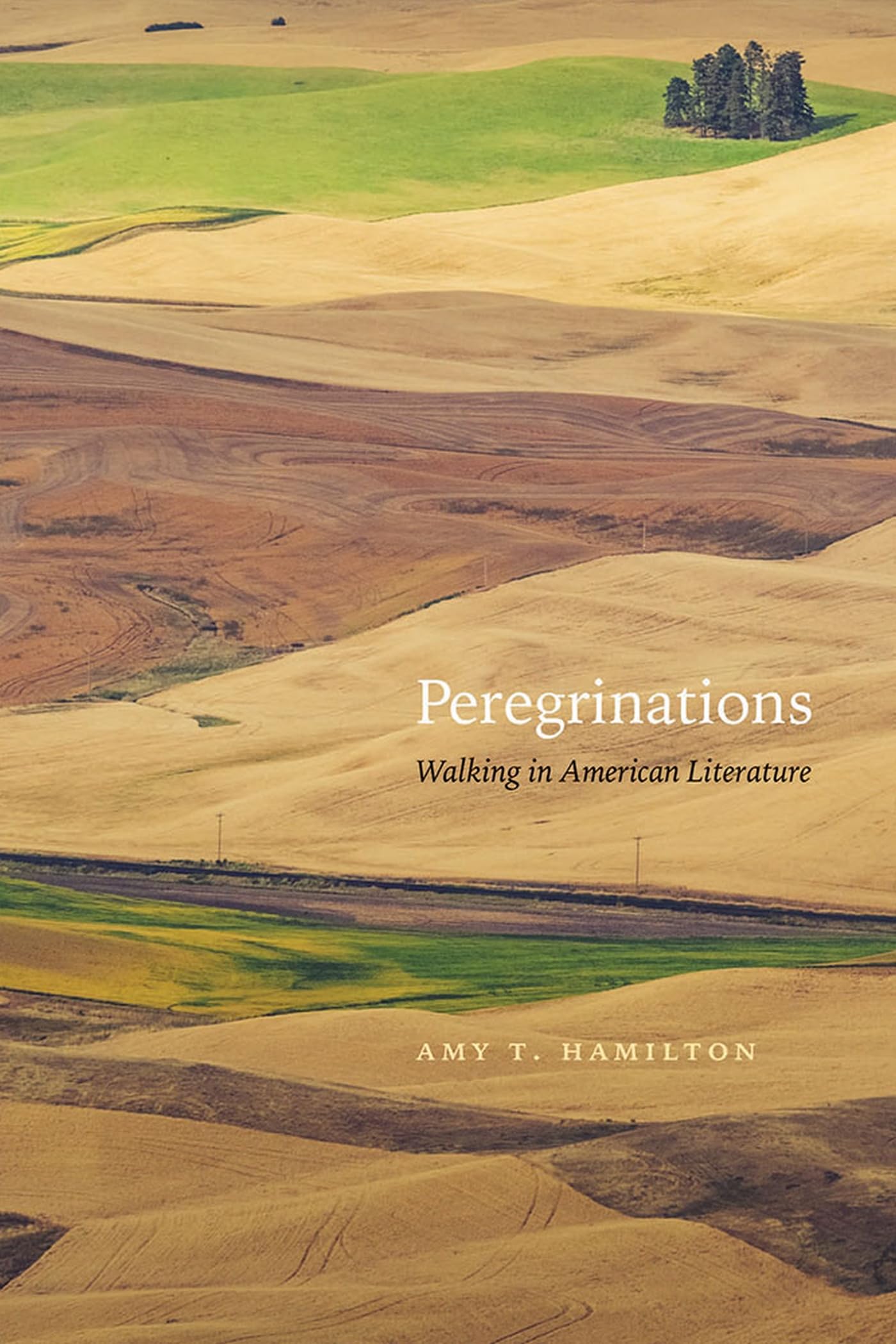 Peregrinations: Exploring American Literature Through Walking - Perfect for Book Lovers, Hikers & Literary Enthusiasts
