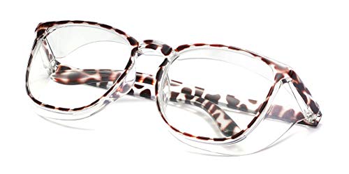 New-leopard