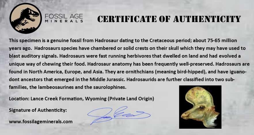 Authentic 0.9