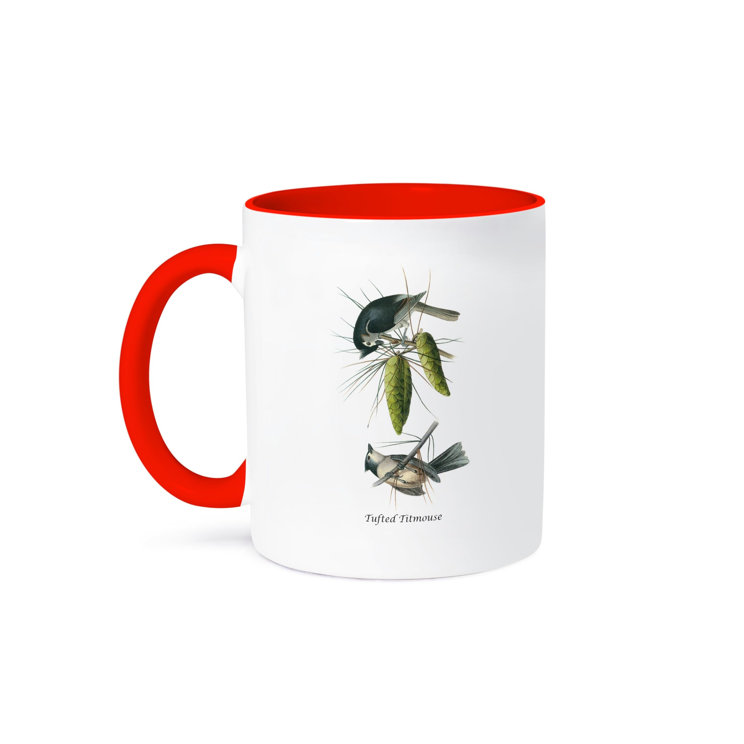 3D Rose 11oz Coffee Mug - Tufted Titmouse by John James Audubon | John James Audubon Collection | Funny Novelty Gift for Bird Lovers & Coffee Enthusiasts | Perfect for Home, Office or Outdoor Use