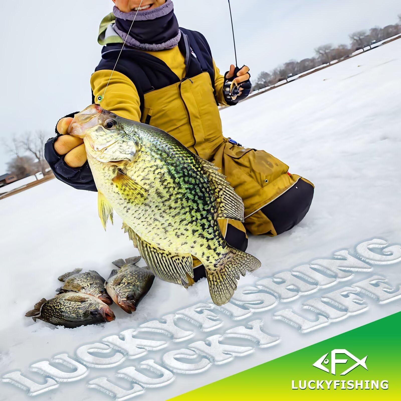 20pcs/60pcs Tungsten Ice Fishing Jigs with Glow in Dark Feature - 1/16oz (1.85g) Crappie Lures for Panfish & Walleye - Durable Ice Fishing Gear - Perfect Gift for Anglers - Ideal for Winter Ice Fishing & Night Fishing Adventures