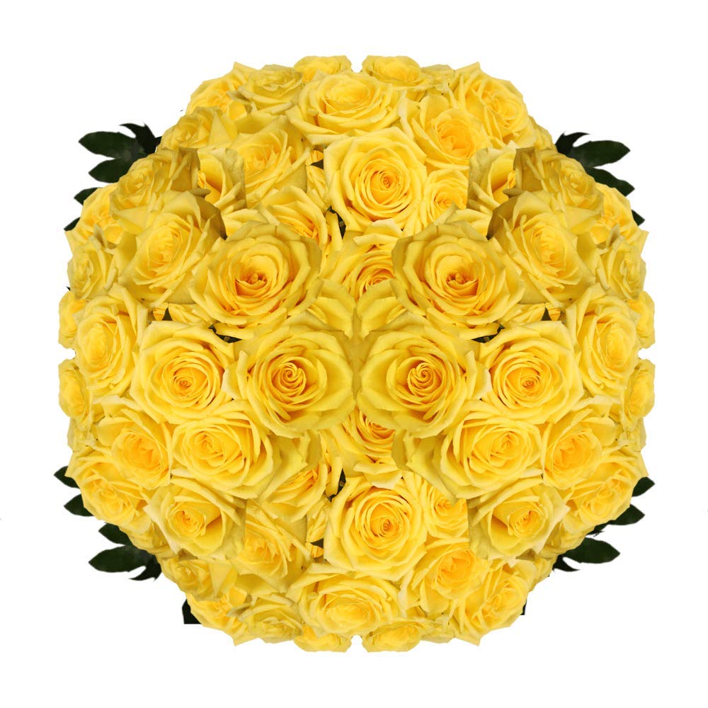Fresh Cut Yellow Roses - 100 Gold Strike Roses for Wedding Bouquets, Anniversary Gifts & Home Decor | Premium Long-Lasting Flowers