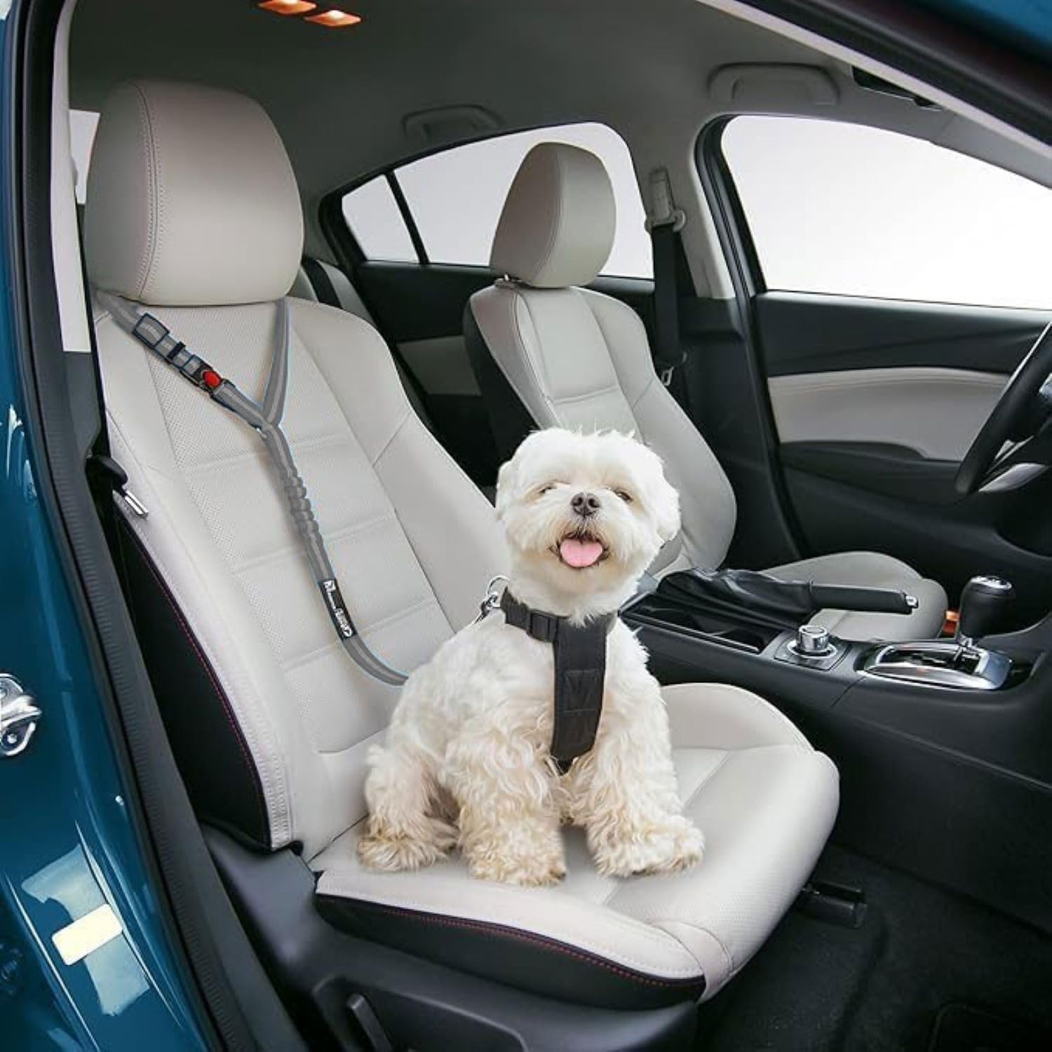 Best Dog Car Seat Belt - Elastic Nylon Pet Safety Harness with Tangle-Free Headrest for Vehicle Travel | Durable & Comfortable for Small to Medium Dogs | Perfect for Road Trips & Daily Commutes