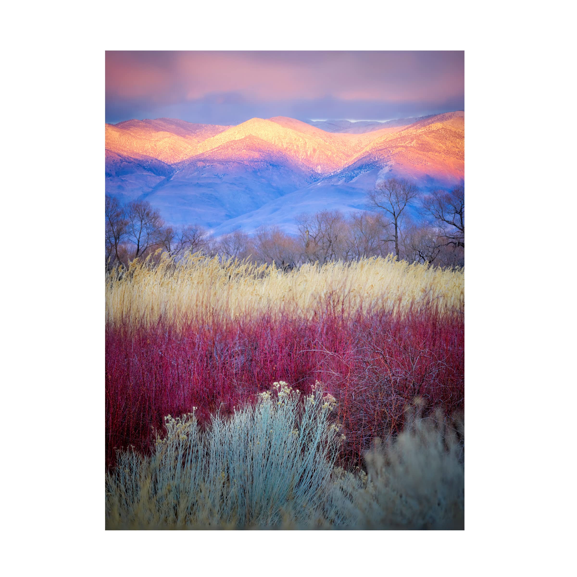 Kirbyturnage 'Field Layers' Canvas Wall Art - Modern Abstract Painting for Living Room, Bedroom & Office Decor | Trademark Fine Art