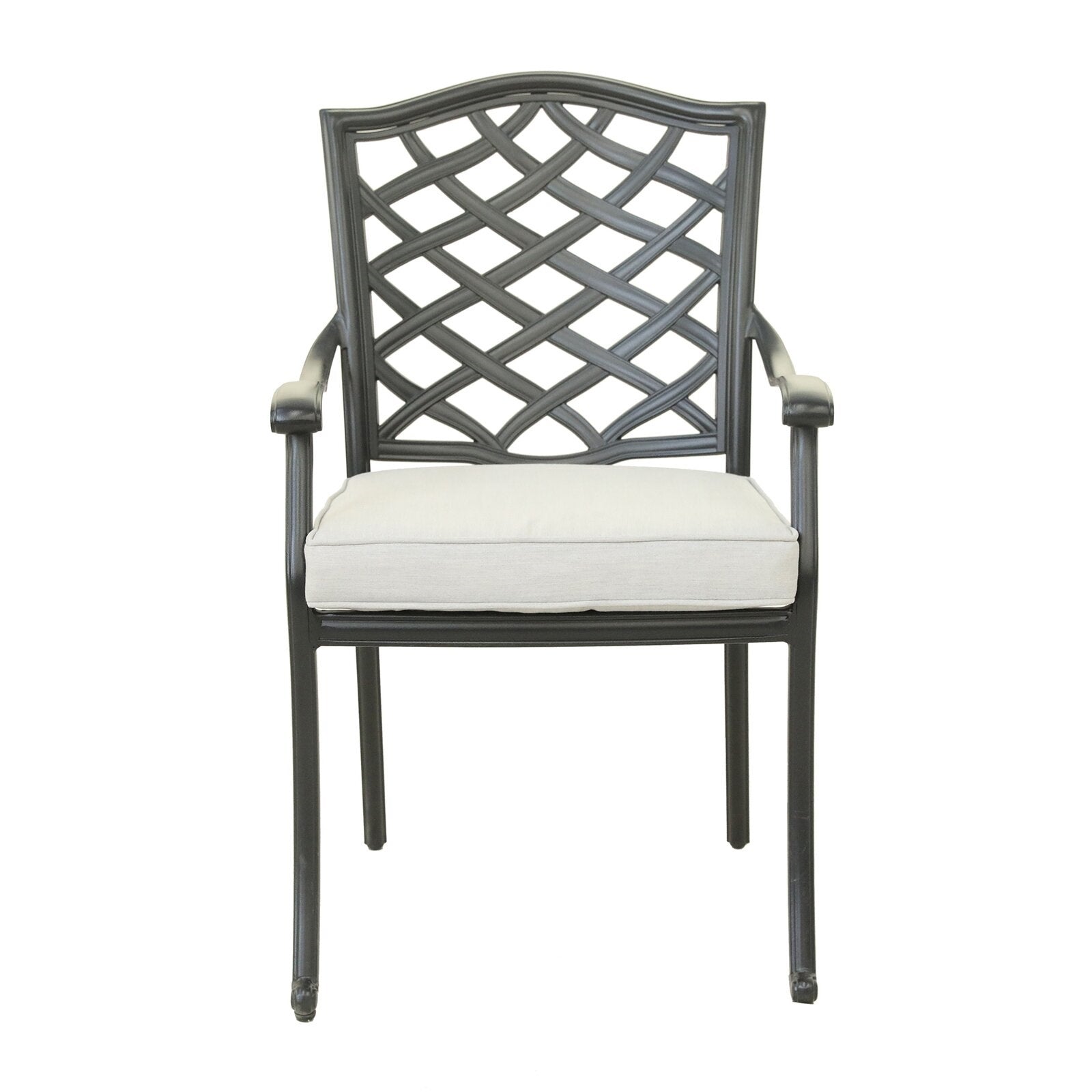 Elegant Cast Silver Dining Arm Chairs - Set of 2 for Formal Dining Room & Kitchen Table | Modern Home Decor