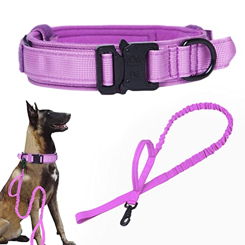 Purple SET(collar+leash)