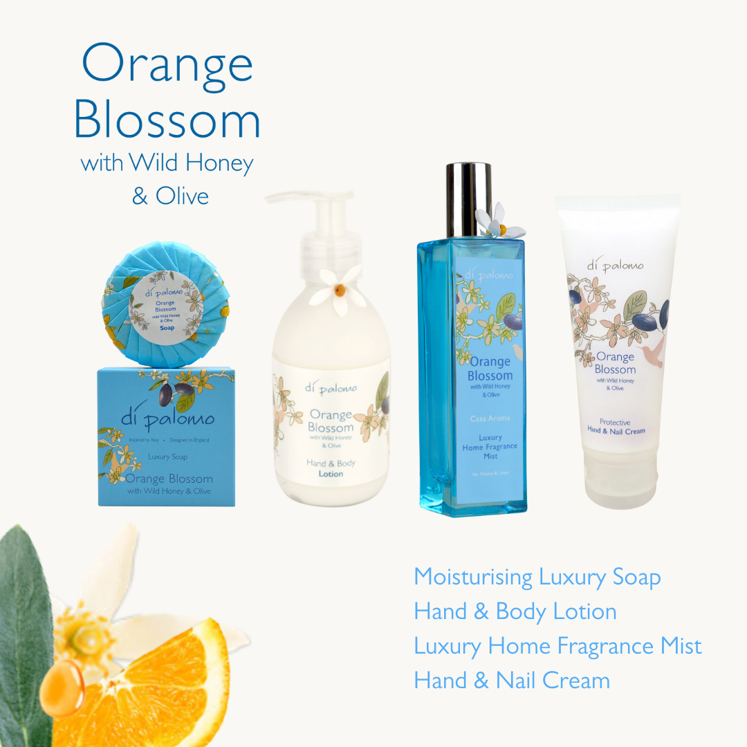 Di Palomo Orange Blossom Body Wash 240ml - Moisturizing & Refreshing Shower Gel for Women & Men - Perfect for Daily Use, Spa Days & Gift Sets
