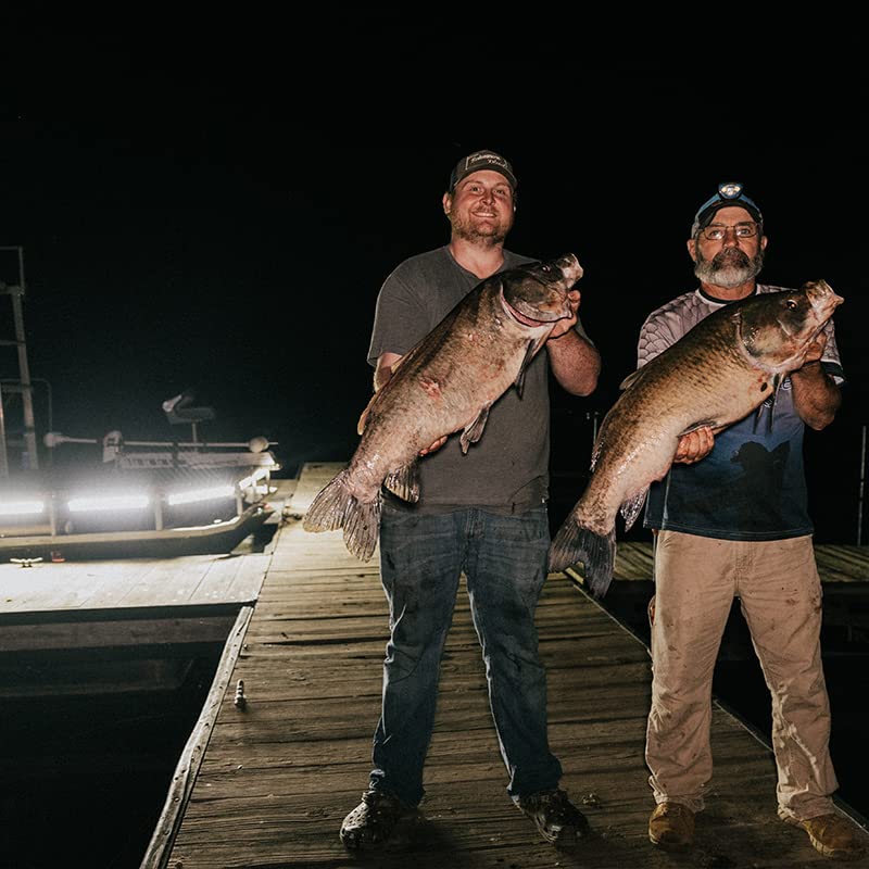FOXPRO Mudcutter Bowfishing LED Light Kit - Remote Controlled Adjustable Color & Brightness Boat Lights for Night Fishing | Perfect for Bowfishing, Night Hunting & Marine Navigation