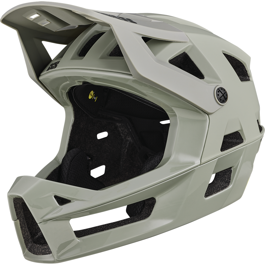 iXS Trigger Full Face MIPS Mountain Bike Helmet - Lightweight & Ventilated for Downhill & Enduro Cycling - Perfect for Trail Riding & Extreme Sports