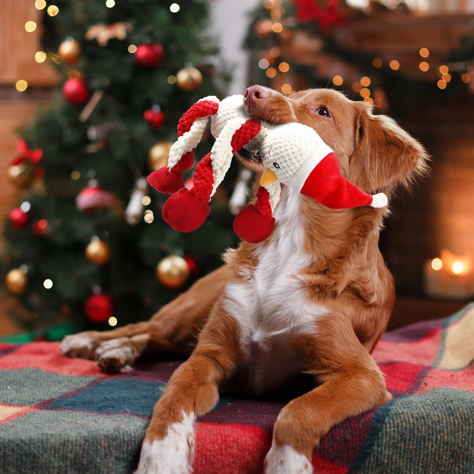 Senneny Squeaky Dog Christmas Toys - Snowman Plush Chew Toys for Small, Medium & Large Dogs | Interactive Durable Puppy Toys with Squeaker | Perfect for Holiday Playtime & Training Gifts