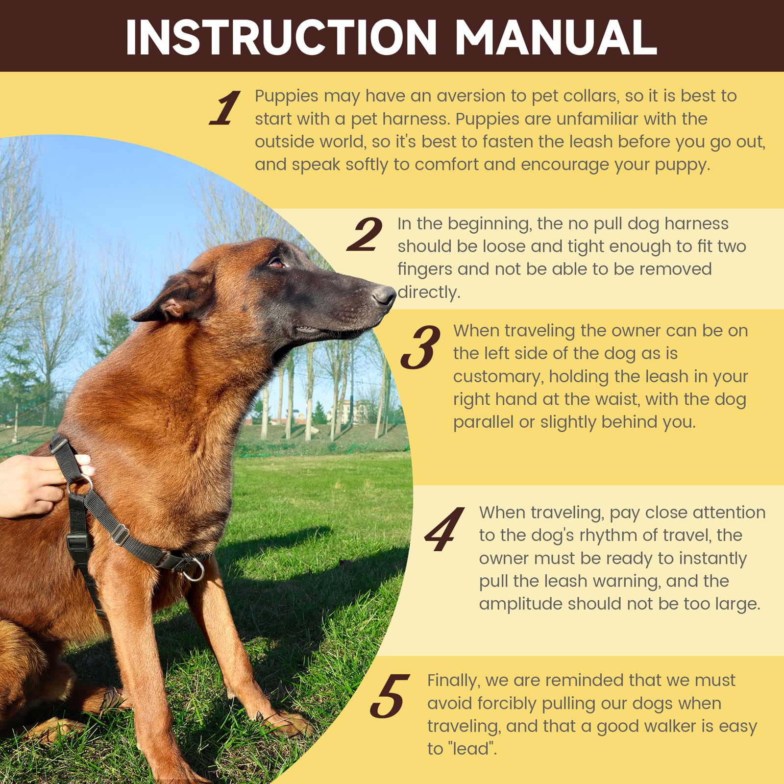 No Pull Dog Harness - Adjustable & Comfortable Walking Harness for Small, Medium & Large Dogs (Large, Black) - Perfect for Training, Hiking & Daily Walks