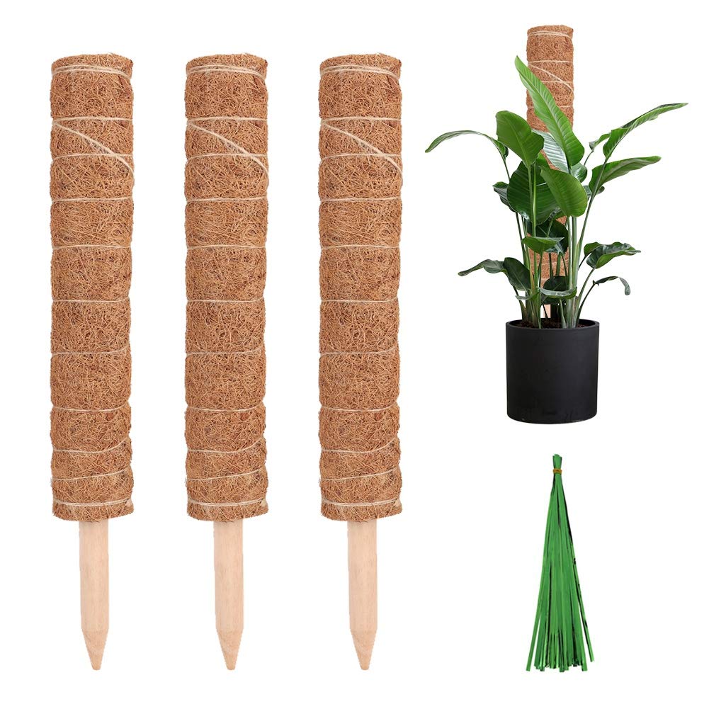 ROPALIA Coconut Coir Plant Climbing Pole - 24 Inch Natural Coir Totem for Indoor Vines, Pothos, Monstera & Climbing Plants | Perfect Plant Support for Home, Office & Garden Decor