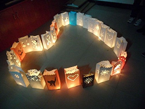 Fascola 20-Pack Heart Paper Lanterns for Wedding & Beach Decor