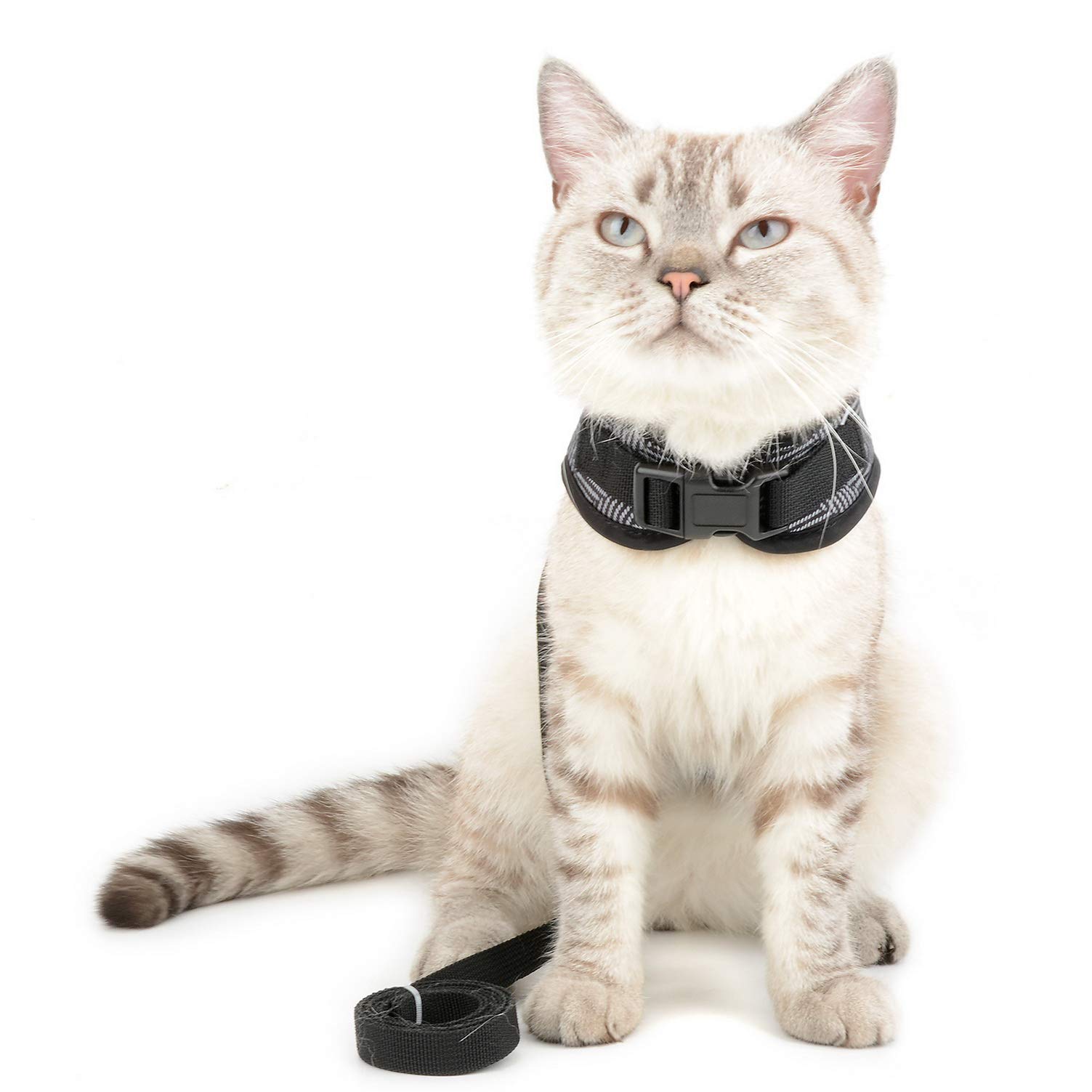 Adjustable No-Pull Escape-Proof Bowtie Houndstooth Cat & Small Dog Harness with Leash Set - Soft Waterproof Walking Vest for Puppies & Kittens - Outdoor Pet Safety (Black, Medium) - Perfect for Walks, Hiking & Outdoor Adventures