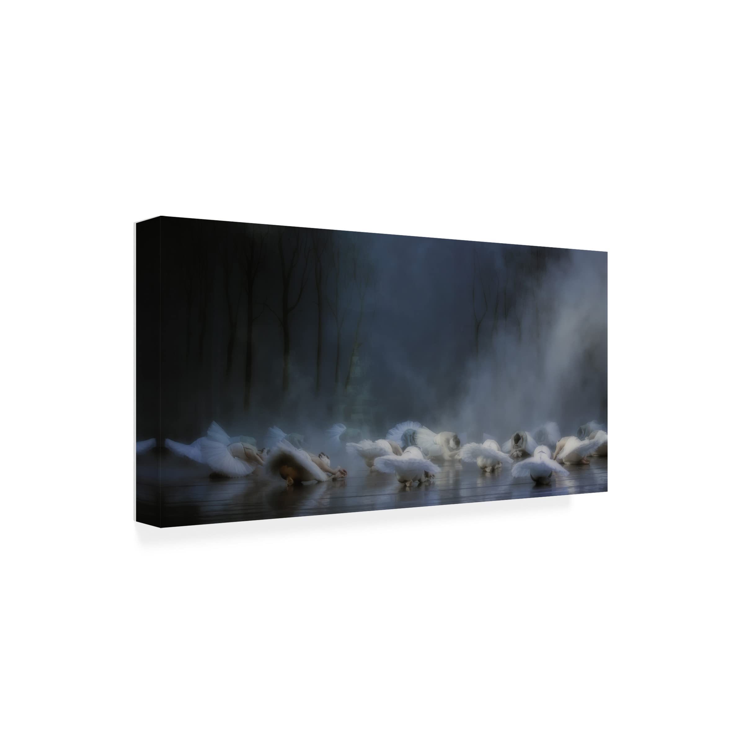 Trademark Fine Art 'Von Rothbart's Curse' Canvas Wall Art by Peet Van Den - Gothic Home Decor for Living Room, Bedroom & Office