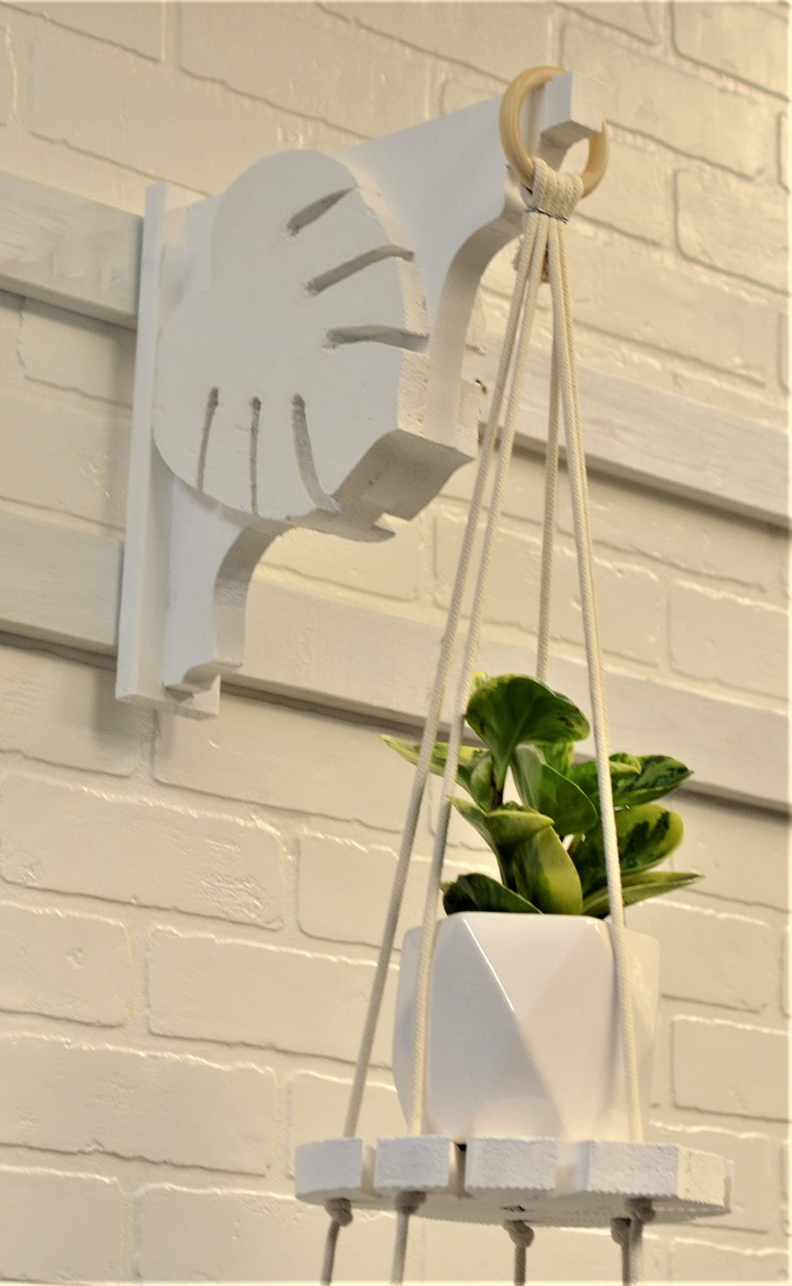 Monstera Leaf Wall Mount with Hanging Plant Shelf - Painted Green & Pink Rope - Perfect for Boho Home Decor, Living Room, Bedroom, or Office Plant Display
