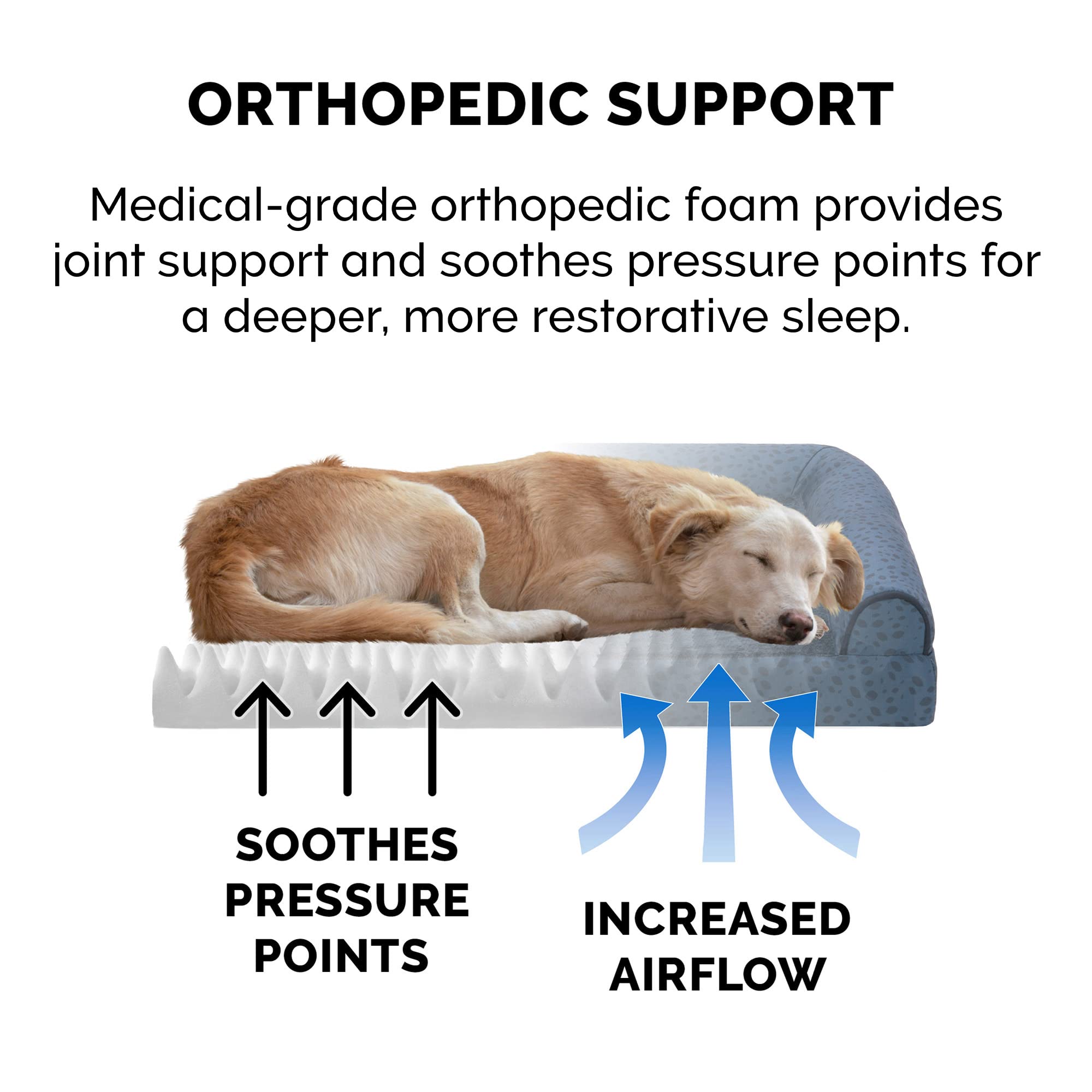 Furhaven Orthopedic Dog Bed for Small & Medium Dogs - Plush & Almond Print L-Shaped Chaise with Removable Bolsters & Washable Cover - Supports Up to 35 lbs - Blue Almonds (Medium) - Perfect for Crate Training, Arthritis Relief & Cozy Napping Spots
