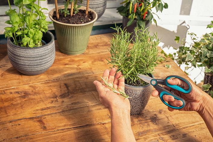 Gardena Herbcut - Premium Stainless Steel Herb Scissors for Kitchen, Cooking & Gardening - Perfect for Chopping Fresh Herbs, Vegetables & Flowers - Ideal for Home Chefs & Gardeners